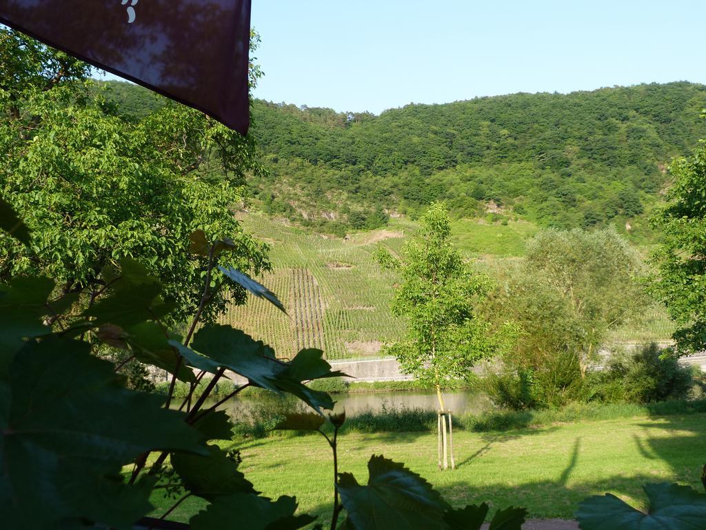 Moselperle Hotel Restaurant Traben-Trarbach Exterior foto